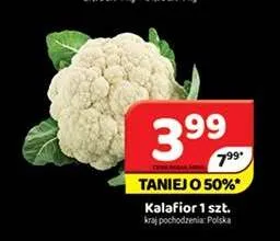 Kalafior promocja w Delfin