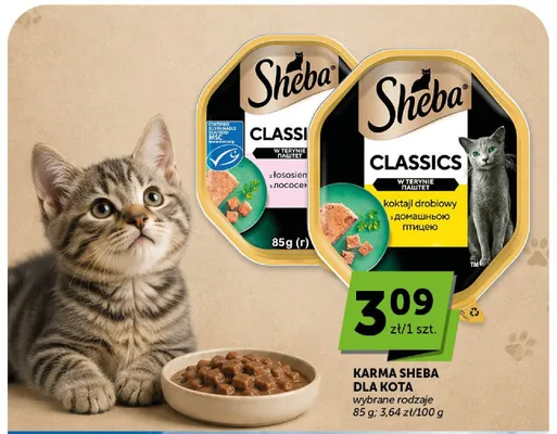 Karma dla kota Sheba Classics koktajl drobiowy promocja w Groszek