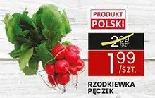 Rzodkiewka promocja w Wafelek