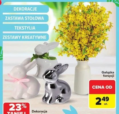Gałązka forsycji promocja w Carrefour