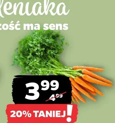 Marchew młoda Netto promocja w Netto