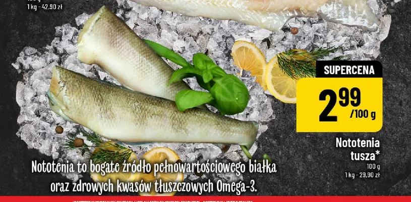 Nototenia tusza promocja w POLOmarket