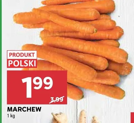Marchew promocja w Stokrotka