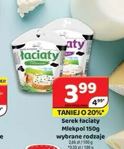Serek puszysty Łaciaty Mlekpol promocja w Delfin