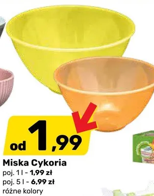 Miska Cykoria promocja w Bricomarche
