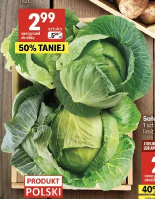 Kapusta wczesna promocja w Delikatesy Centrum
