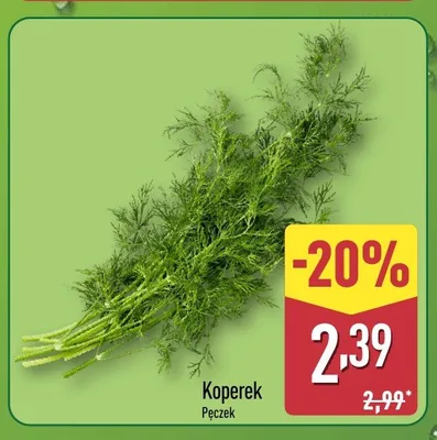 Koperek promocja w Aldi