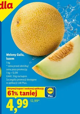 Melon Galia luzem promocja w Lidl