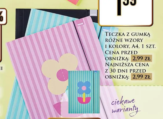 Teczka z gumką Rexus A4 promocja w Dino