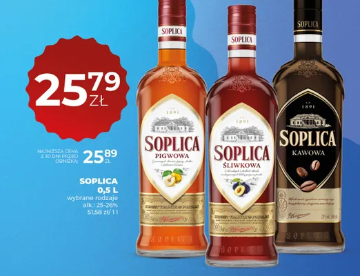 Soplica wybrane rodzaje promocja w Duży Ben