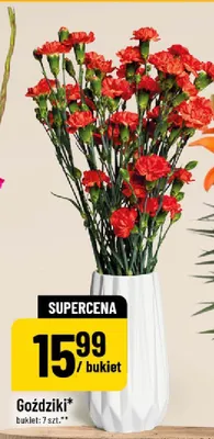 Goździki bukiet promocja w POLOmarket