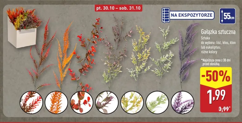 Gałązka sztuczna kłos 55 cm promocja w Aldi