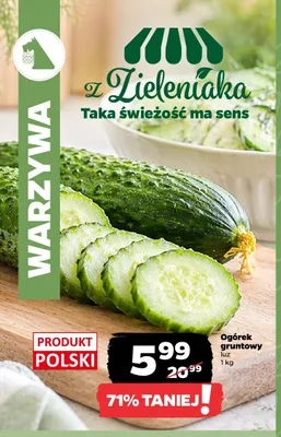 Ogórek gruntowy luz promocja w Netto