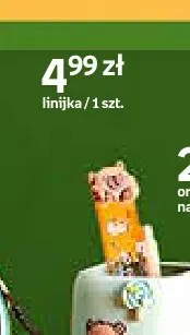 Linijka Cappy Classes promocja w Empik