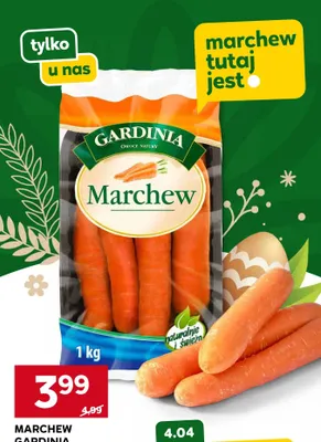 Marchew promocja w Stokrotka