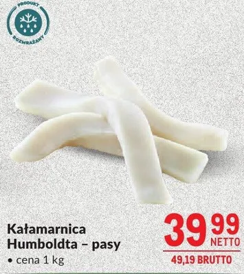 Kałamarnica Humboldta - pasy promocja w Makro