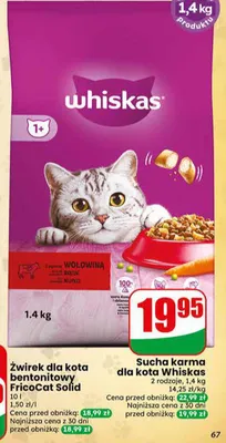 Sucha karma dla kota Whiskas wołowina promocja w Dino