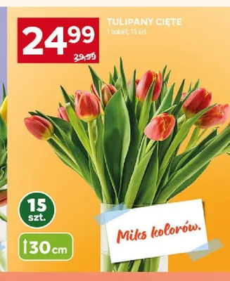 Tulipany cięte 30cm promocja w Stokrotka