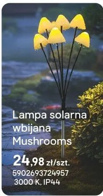 Lampa solarna wbijana Mushrooms promocja w Castorama
