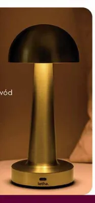 Lampka nocna LED z półkolistym kloszem promocja w Biedronka