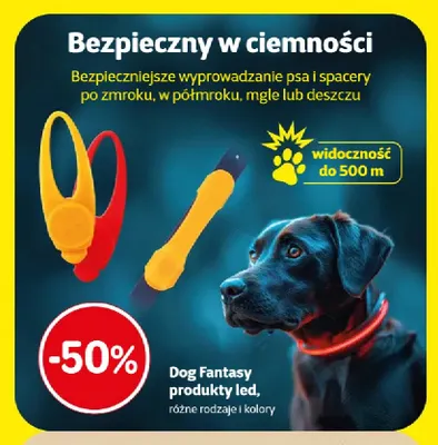 Produkty LED Dog Fantasy promocja w Super Zoo