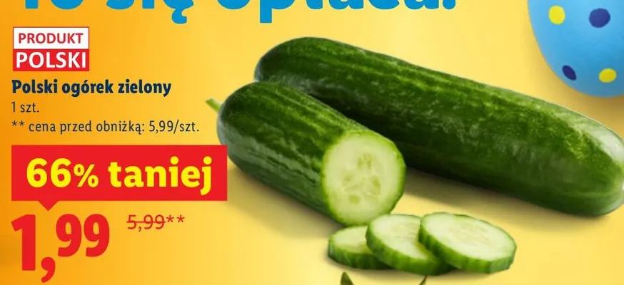 Ogórek zielony Lidl promocja w Lidl