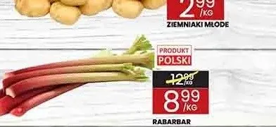 Rabarbar polski promocja w Wafelek