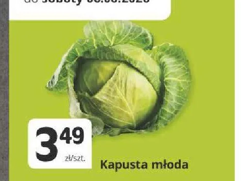 Kapusta młoda promocja w Marketvita