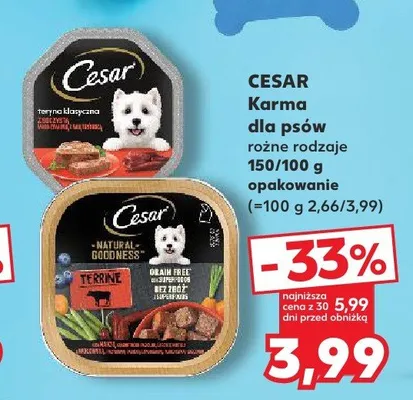 Karma dla psów Cesar Terrina Klasyczna promocja w Kaufland