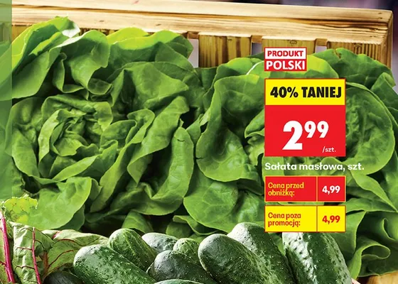 Sałata masłowa polska promocja w Biedronka