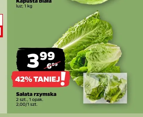 Sałata rzymska 2-pak promocja w Netto