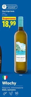 Wino Pinot Grigio Garda promocja w Lidl