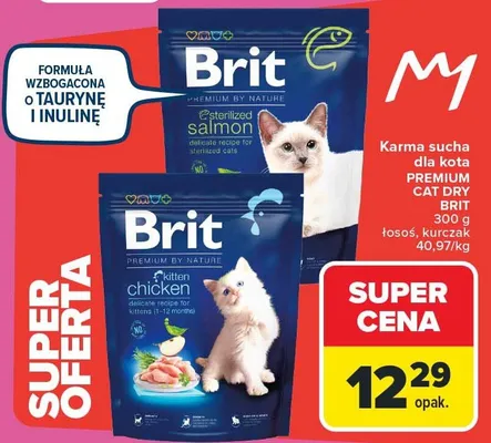 Karma sucha dla kota PREMIUM CAT DRY BRIT 300 g - łosoś, kurczak promocja w Carrefour Market
