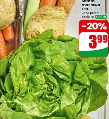 Sałata masłowa promocja w Dino