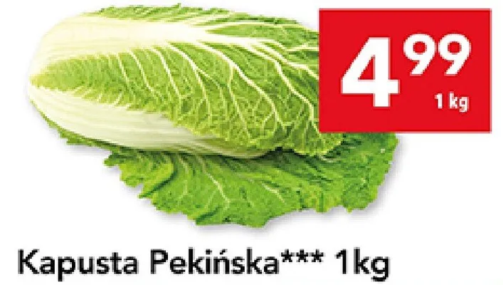 Kapusta Pekińska LEWIATAN promocja w LEWIATAN