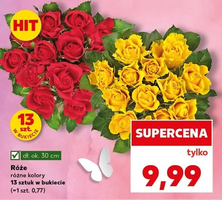 Róże różne kolory promocja w Kaufland