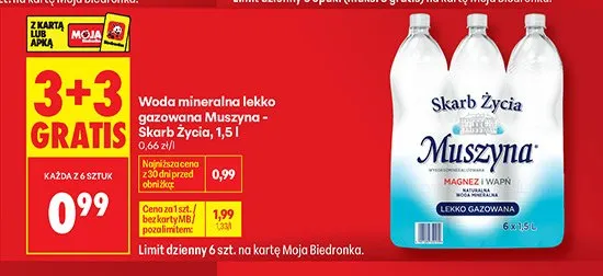 Woda mineralna lekko gazowana Muszyna - Skarb Życia promocja w Biedronka