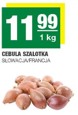 Cebula szalotka promocja w SPAR