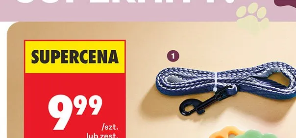 Obroża, szelki lub smycz promocja w Biedronka