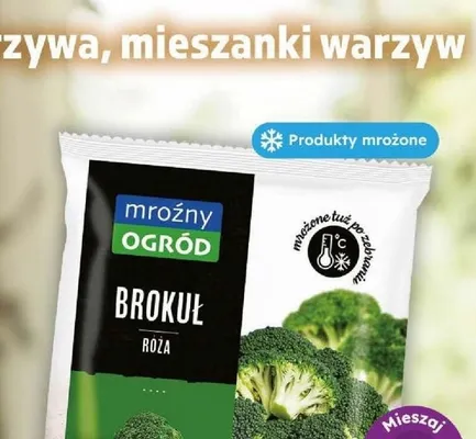 Brokuł róża mroźny OGRÓD promocja w Dino