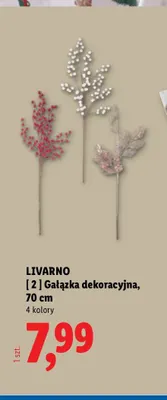 Gałązka dekoracyjna 70 cm Livarno promocja w Lidl