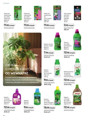 Nawóz do juk. dracen i palm promocja w Castorama