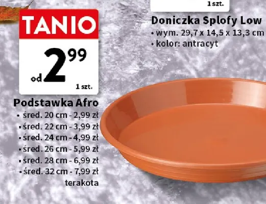 Podstawka Afro śred. 24 cm promocja w Intermarche