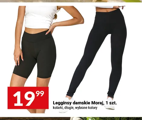 Legginsy damskie długie Moraj promocja w Twój Market