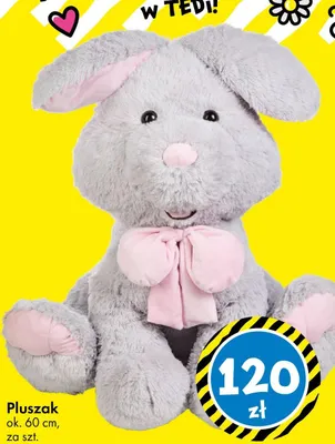 Pluszak ok. 60cm promocja w Tedi