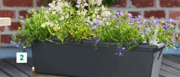 Skrzynka na kwiaty długość: 59 cm Parkside promocja