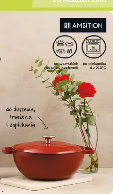 Garnek 26,5 cm 4 l z pokrywką promocja w Biedronka