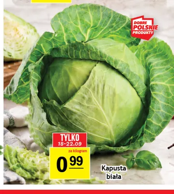 Kapusta biała promocja w Gram Market