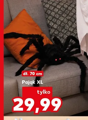 Pająk Xl promocja w Kaufland