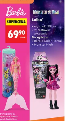 Lalka Monster High wys. ok. 30cm w zestawie akcesoria promocja w Biedronka